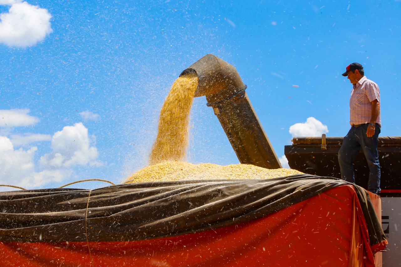Paraná mantém estimativa de safra recorde, mesmo com redução da produção de milho